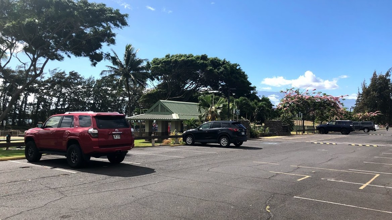 The two 4Runner’s didn’t want to be friends with anyone. They’re as common here as a Civic anywhere else.